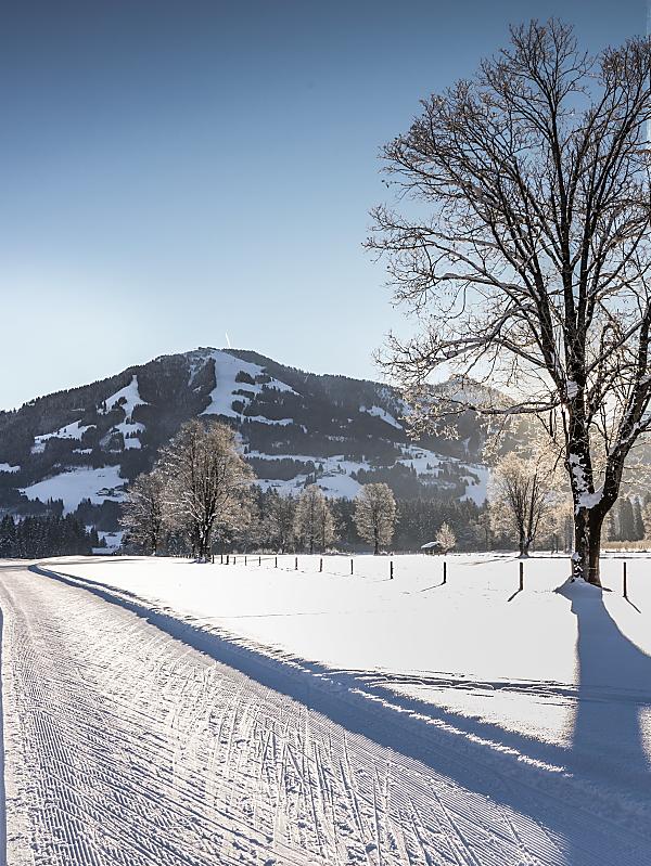 Winter holiday in Tyrol at Hotel Elisabeth