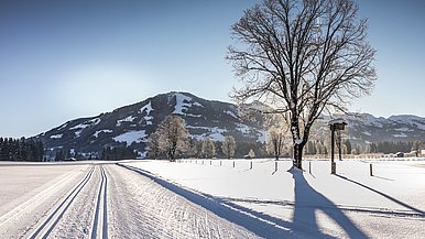 Hotel Elisabeth: Winterwandern in Kirchberg in Tirol