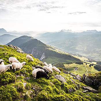 Mountain bike holiday in the Alps for the whole family