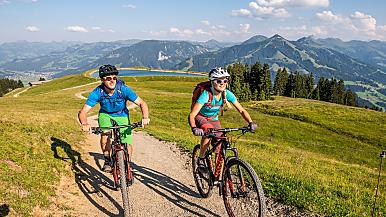 Cycling holiday in Austria with guided tours